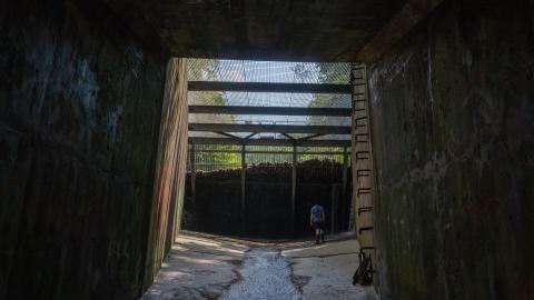 Photo from This Is a Call