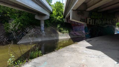 My Own Summer (Shove It) - DSC00740.JPG