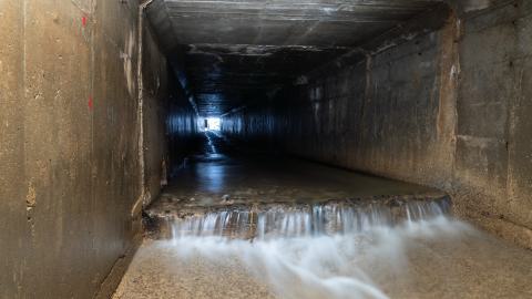 This Is a Call - DSC00919.JPG