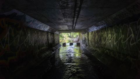 Photo from My Own Summer (Shove It)