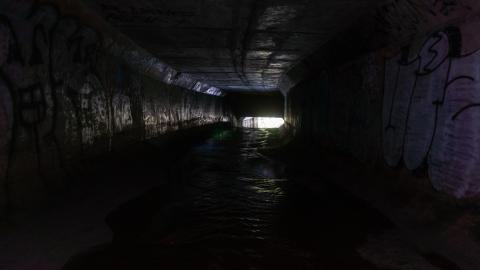 My Own Summer (Shove It) - DSC00744.JPG