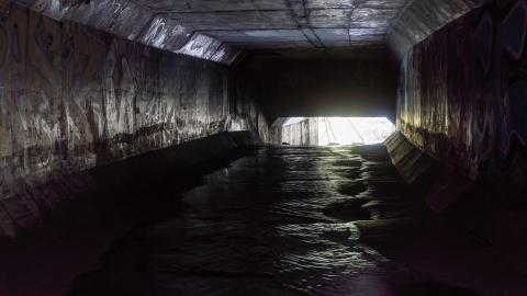 My Own Summer (Shove It) - DSC00745.JPG