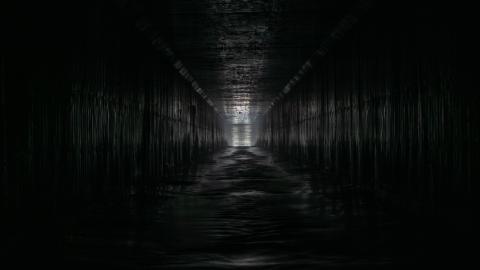 This Is a Call - DSC00923.JPG