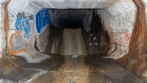 My Own Summer (Shove It) - DSC00751.JPG