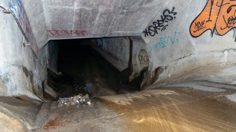 My Own Summer (Shove It) - DSC00763.JPG