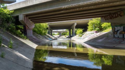 My Own Summer (Shove It) - DSC00764.JPG