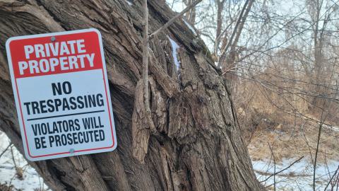 Jan 2025 - 20250127_152759.jpg