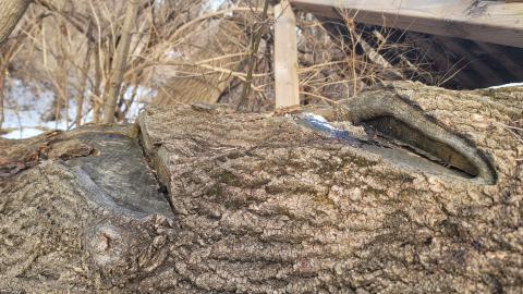 Jan 2025 - 20250127_151919.jpg