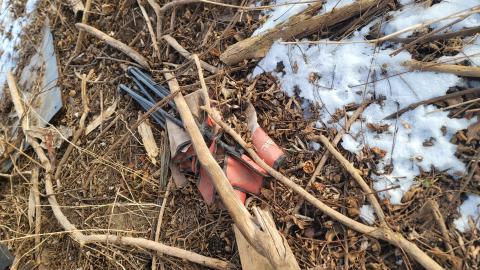 Jan 2025 - 20250127_151915.jpg