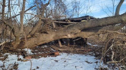 Jan 2025 - 20250127_151906.jpg