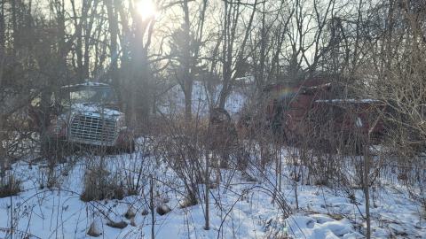 Jan 2025 - 20250127_151207.jpg