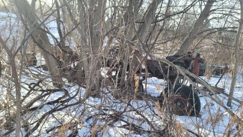 Jan 2025 - 20250127_151051.jpg