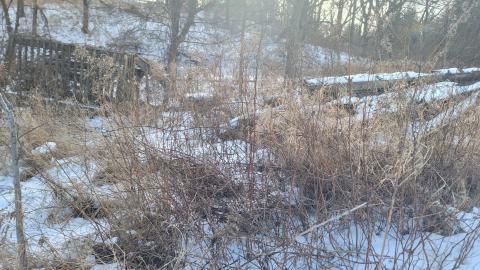 Jan 2025 - 20250127_151026.jpg