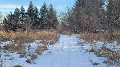 Jan 2025 - 20250127_150928.jpg