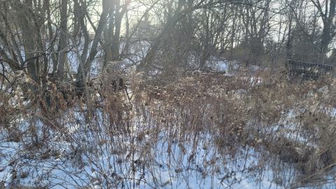 Jan 2025 - 20250127_150922.jpg