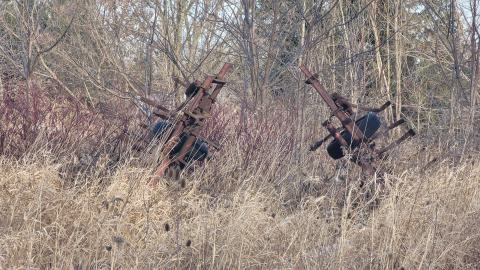 Jan 2025 - 20250127_150853.jpg