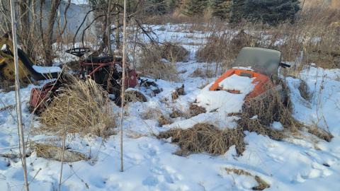 Jan 2025 - 20250127_150810.jpg