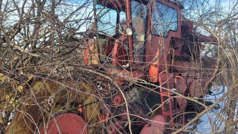 Jan 2025 - 20250127_150710.jpg