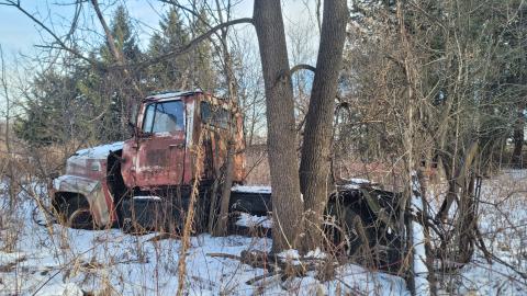 Jan 2025 - 20250127_150708.jpg