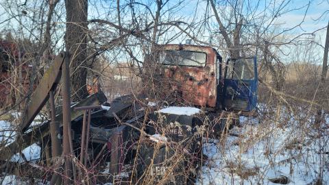 Jan 2025 - 20250127_150637.jpg