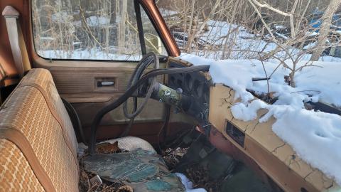 Jan 2025 - 20250127_150541.jpg