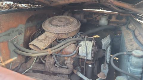 The Fun's Over... photo 4