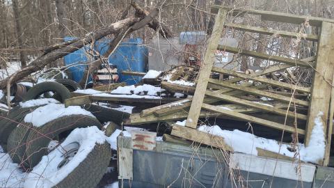 Jan 2025 - 20250127_150450.jpg