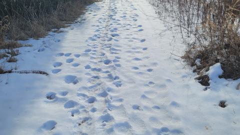 Jan 2025 - 20250127_145754.jpg