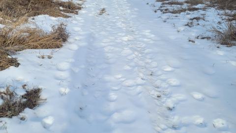 Jan 2025 - 20250127_145751.jpg