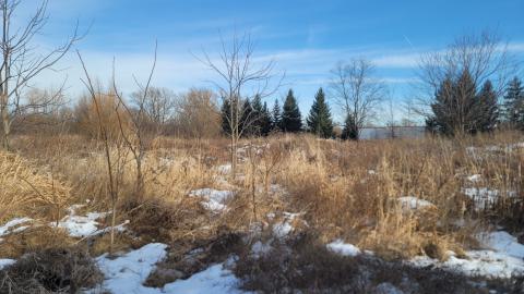 Jan 2025 - 20250127_145551.jpg