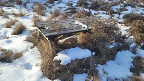 Jan 2025 - 20250127_145211.jpg