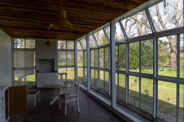 Californication - DSC00348.JPG