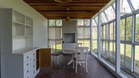 Californication - DSC00347.JPG