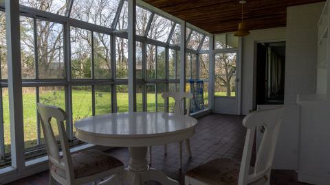 Californication - DSC00352.JPG