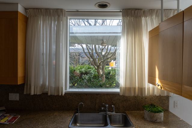 Californication - DSC00355.JPG