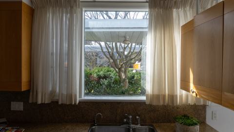 Californication - DSC00355.JPG