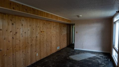 Try Honesty - DSC00381.JPG