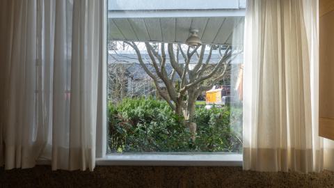 Photo from Californication