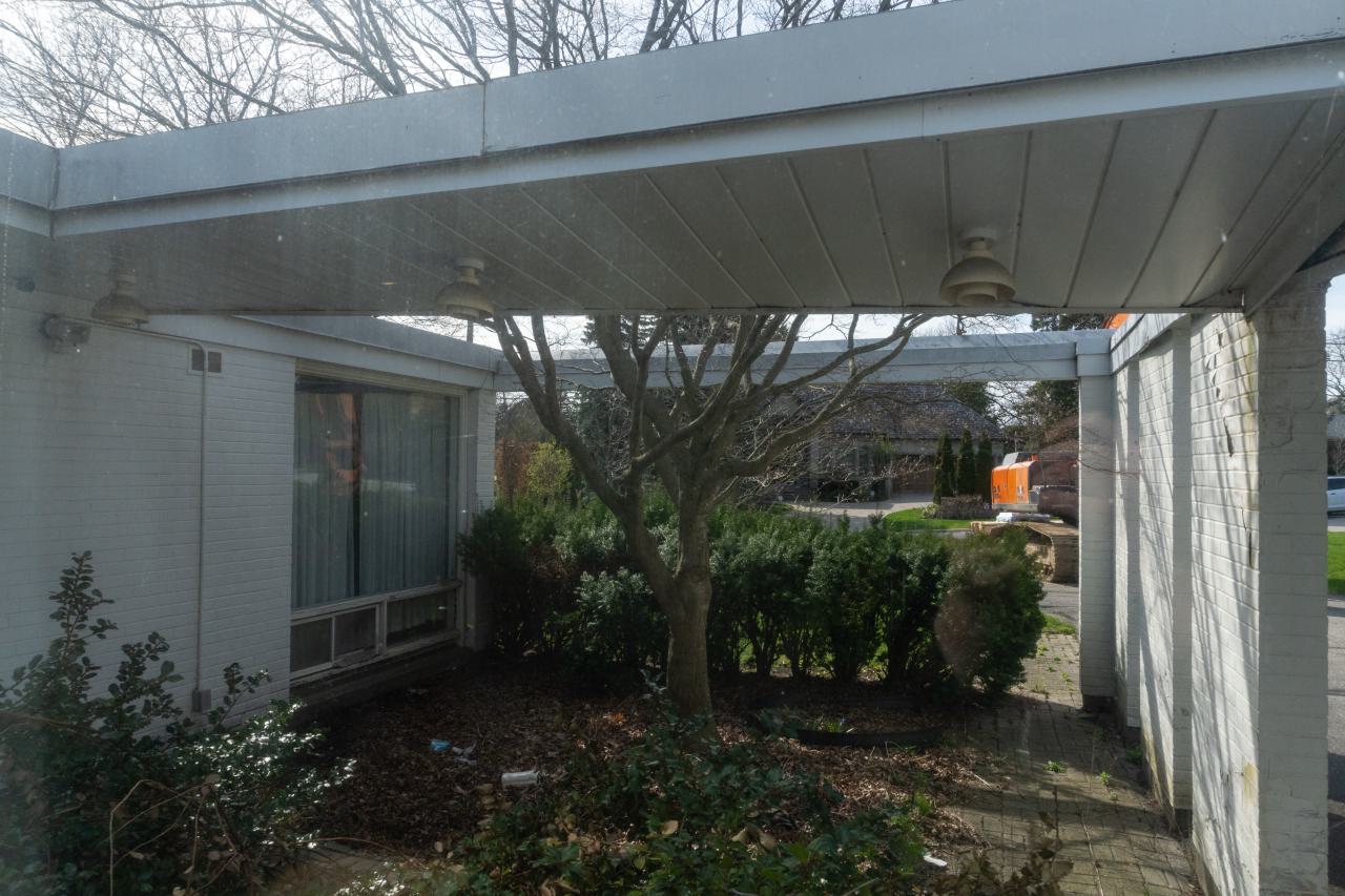 Californication - DSC00357.JPG