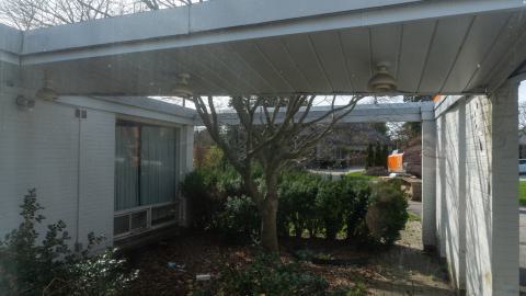 Californication - DSC00357.JPG