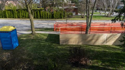 Try Honesty - DSC00385.JPG