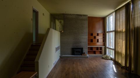 Try Honesty - DSC00371.JPG