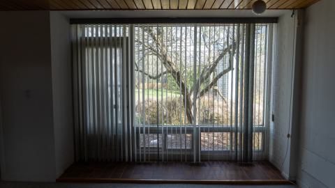 Californication - DSC00363.JPG