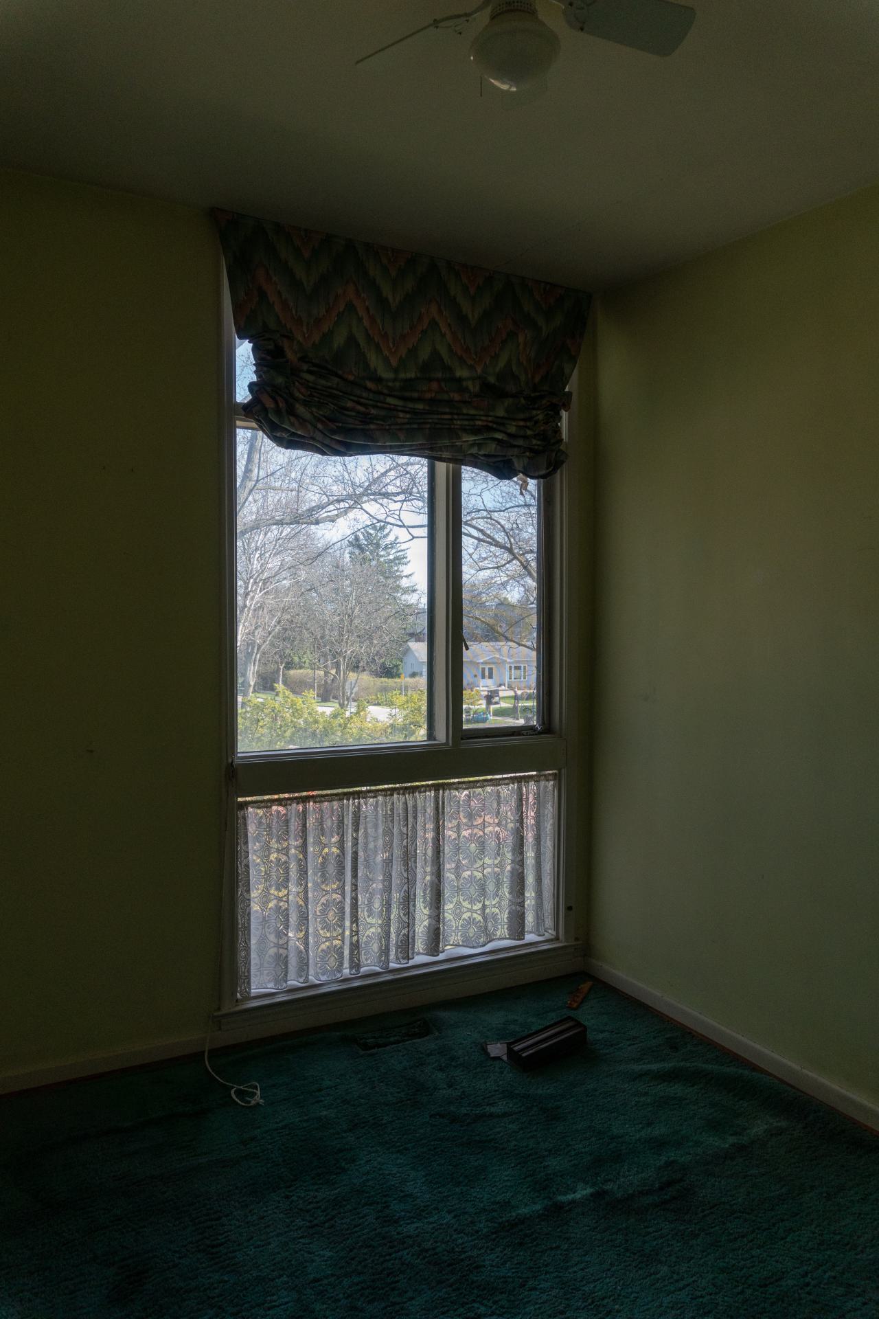 Try Honesty - DSC00374.JPG