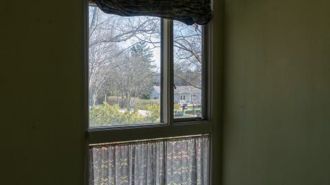 Try Honesty - DSC00374.JPG