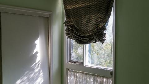 Try Honesty - DSC00376.JPG