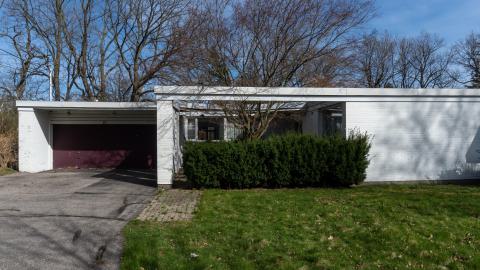 Californication - DSC00369.JPG