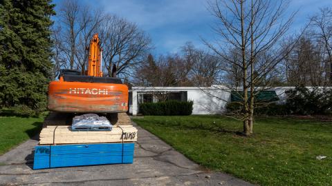 Californication - DSC00370.JPG