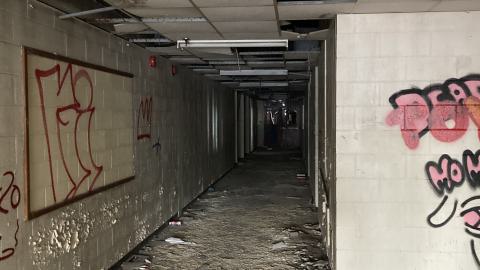 Here we go again - IMG_5188.jpeg