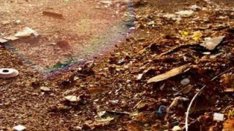 March 2012 Visit - 4620712572_a145d80435_b.jpg